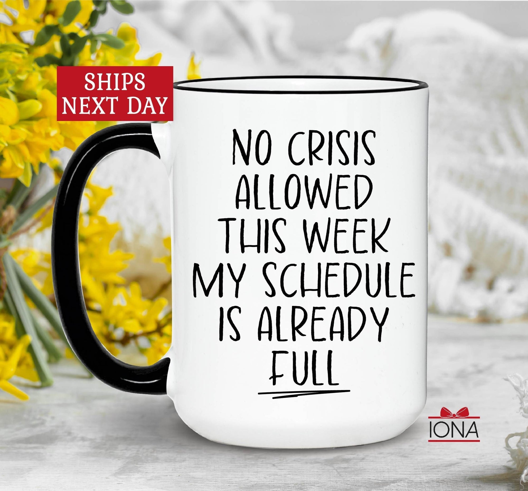 Funny Coworker Gift, No Crisis Allowed, Funny Work bestie Gift, Office Coffee Mug, Christmas Coworker, Funny Boss Gift, Funny Email Mug
