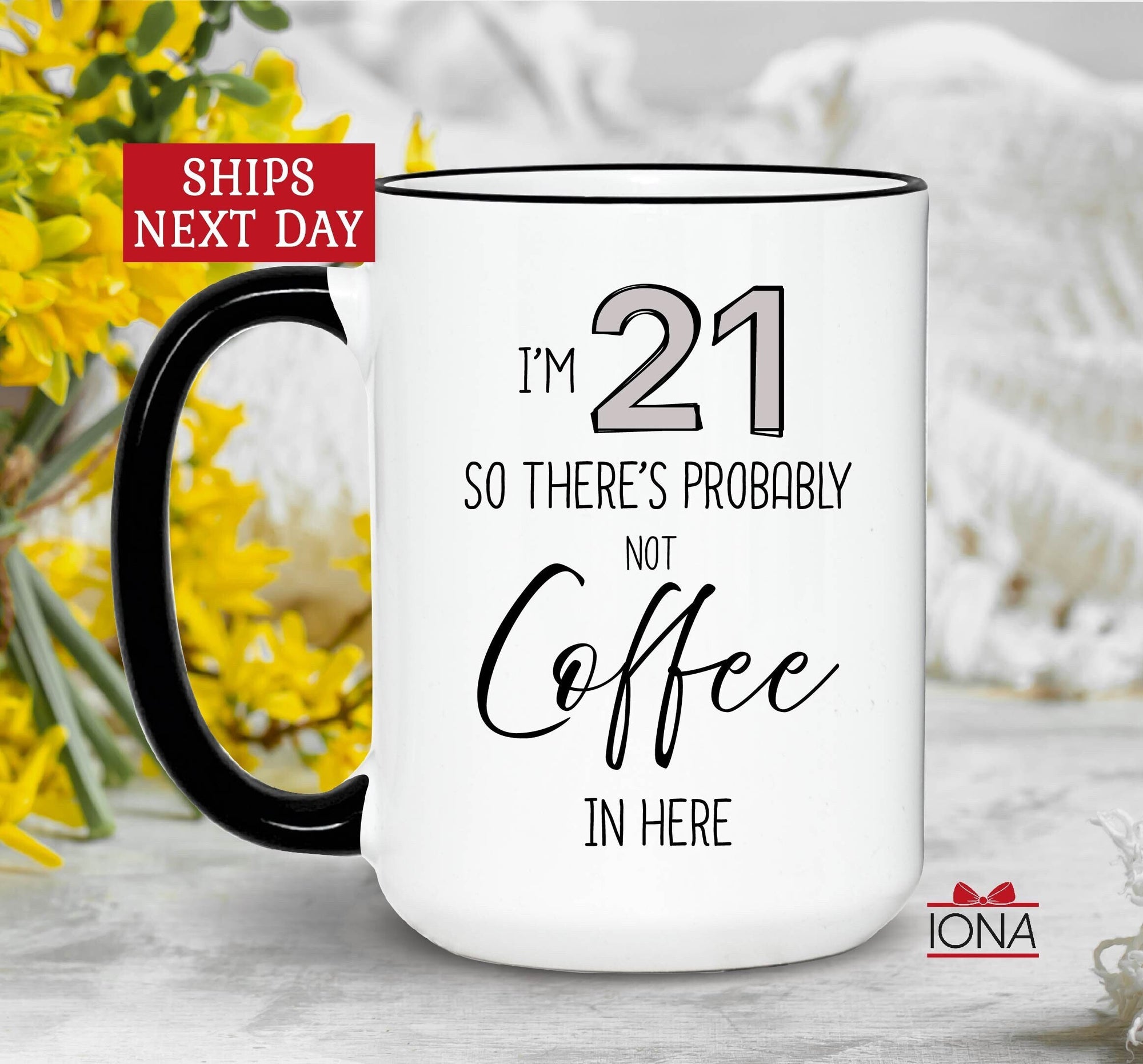 Funny 21st Birthday Gift Coffee Mug, Probably Not Coffee in here, 21 Years Old Mug, 21 Year Old, Daughter Sister in Law Teens Her Best Ideas